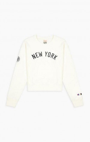 Champion New York MLB Cropped Reverse Weave Sweatshirt Tröjor Dam Bruna | 9751-MNPCU