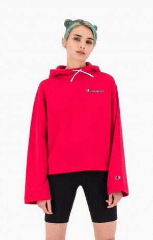 Champion Satin Stitch Script Logo Hoodie Hoodie Dam Röda | 8357-FITRW