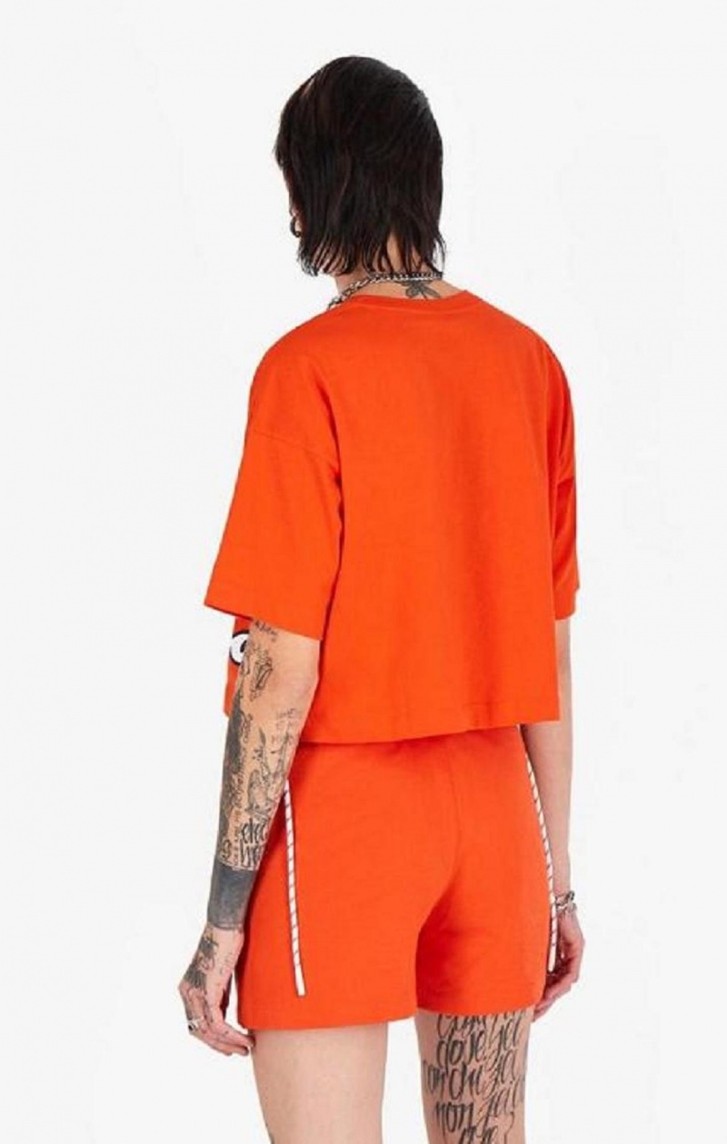 Champion Cropped Script Logo T-Shirt T-shirt Dam Orange | 3160-NJLFR