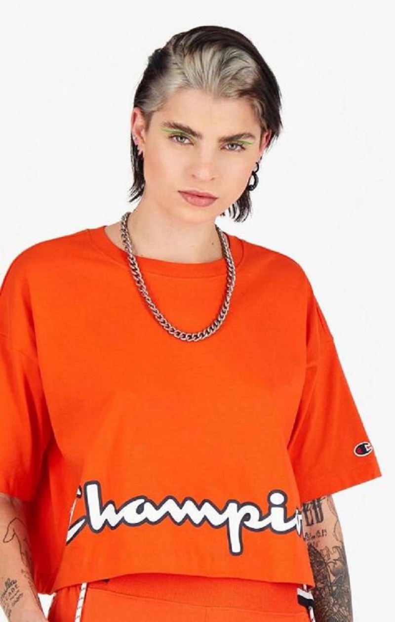 Champion Cropped Script Logo T-Shirt T-shirt Dam Orange | 3160-NJLFR