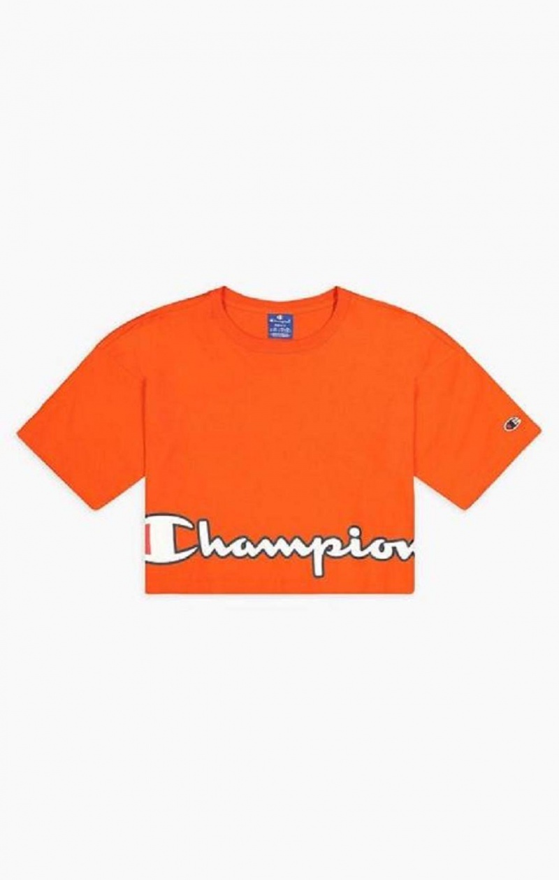 Champion Cropped Script Logo T-Shirt T-shirt Dam Orange | 3160-NJLFR