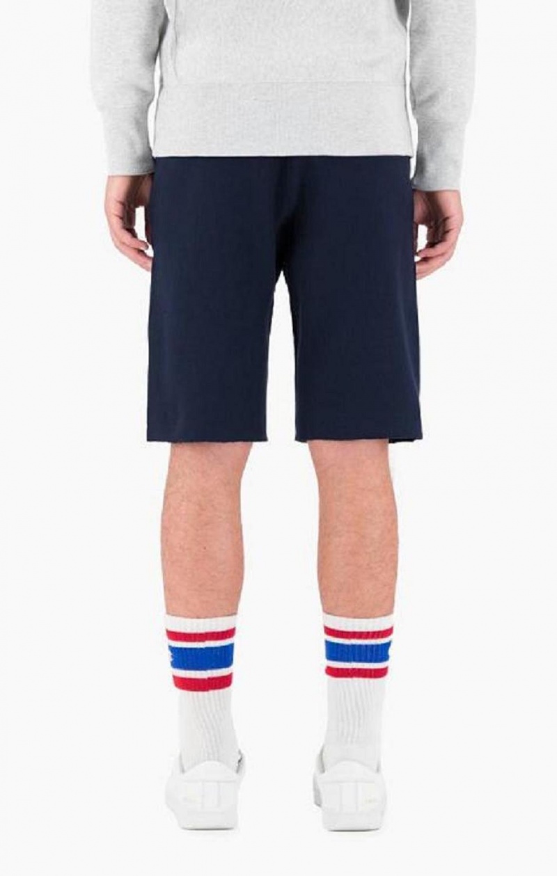 Champion Reverse Weave Long Shorts Shorts Herr Ljusgrå | 2536-WTHPJ