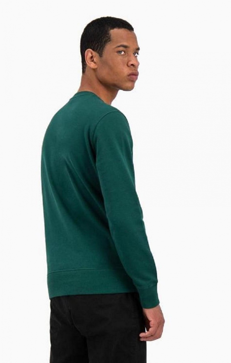 Champion Satin Stitch Script Logo Fleece Sweatshirt Tröjor Herr Ljusgröna | 2639-EOFZM