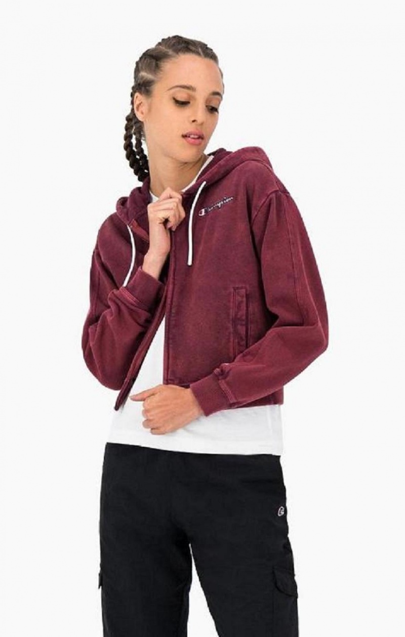 Champion Satin Stitch Script Logo Hoodie Hoodie Dam Mörklila | 7912-YSPZX