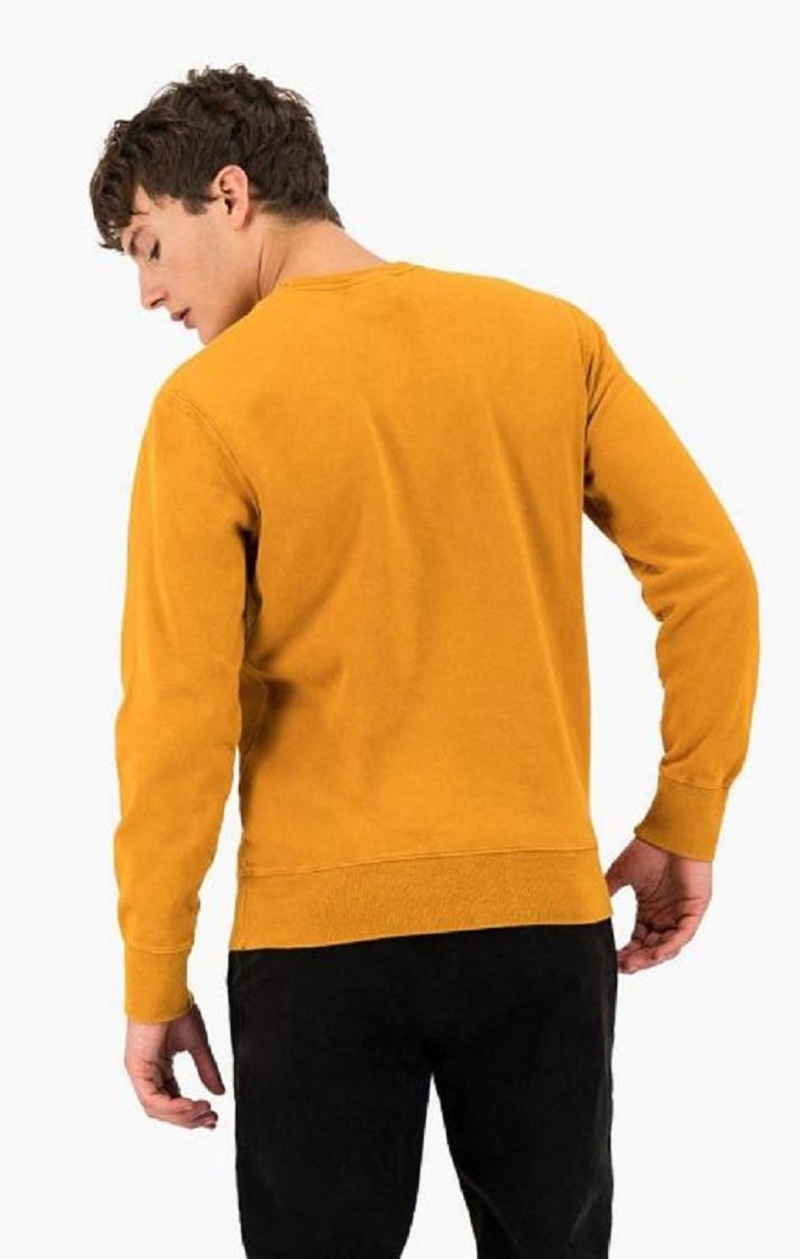 Champion Script Logo Reverse Weave Sweatshirt Tröjor Herr Orange | 3108-HFCZW