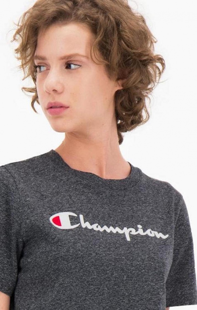 Champion Velvet Script Logo T-Shirt T-shirt Dam Ljusgrå | 6539-YDPOZ