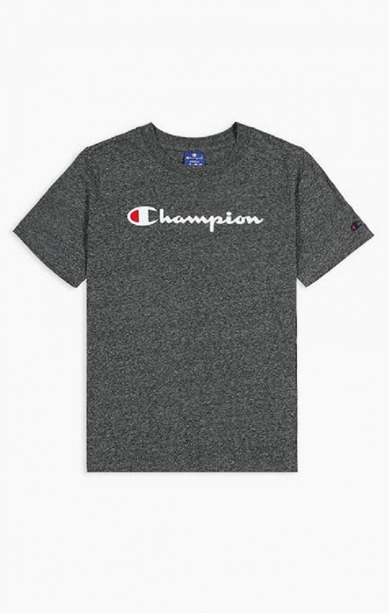 Champion Velvet Script Logo T-Shirt T-shirt Dam Ljusgrå | 6539-YDPOZ